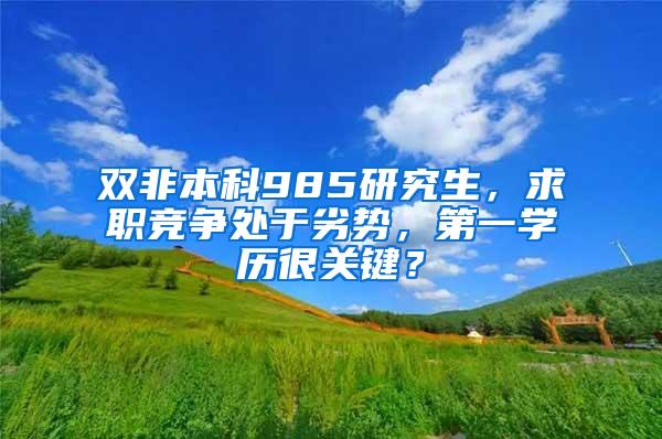 双非本科985研究生，求职竞争处于劣势，第一学历很关键？