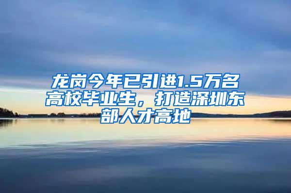 龙岗今年已引进1.5万名高校毕业生，打造深圳东部人才高地