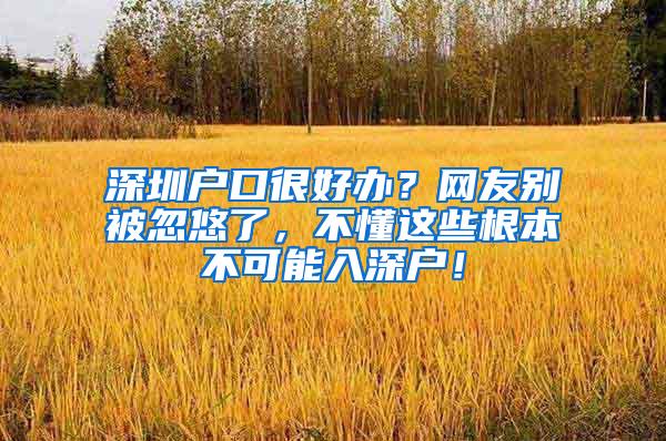 深圳户口很好办？网友别被忽悠了，不懂这些根本不可能入深户！