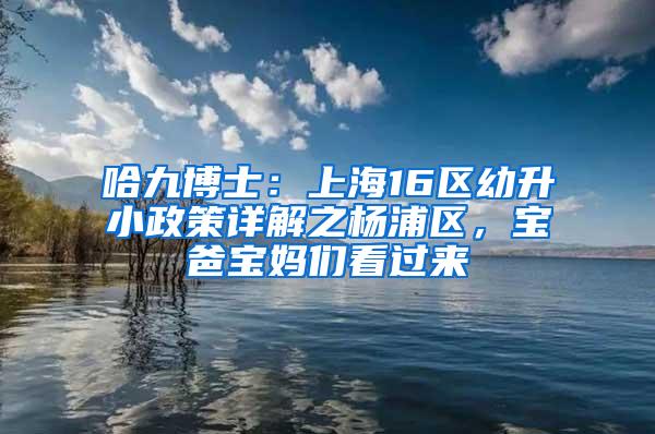 哈九博士：上海16区幼升小政策详解之杨浦区，宝爸宝妈们看过来
