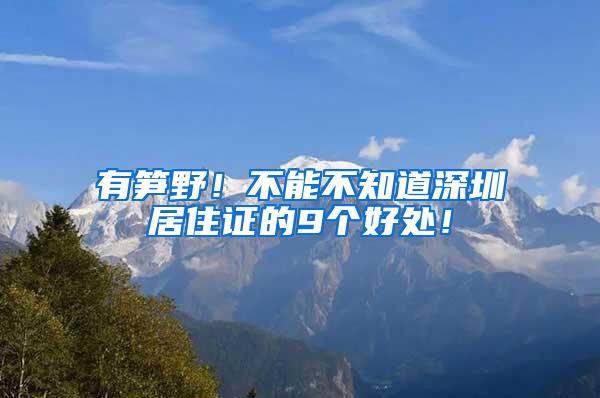 有笋野！不能不知道深圳居住证的9个好处！