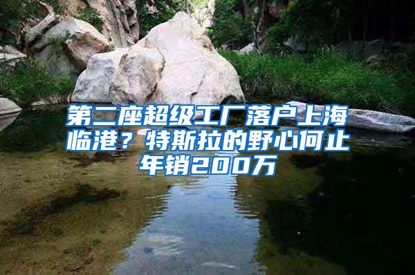 第二座超级工厂落户上海临港？特斯拉的野心何止年销200万