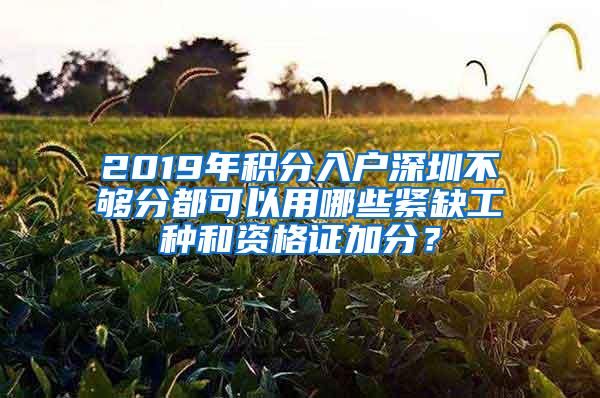 2019年积分入户深圳不够分都可以用哪些紧缺工种和资格证加分？