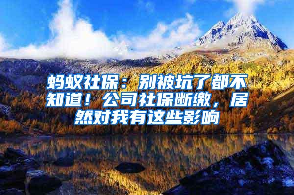 蚂蚁社保：别被坑了都不知道！公司社保断缴，居然对我有这些影响