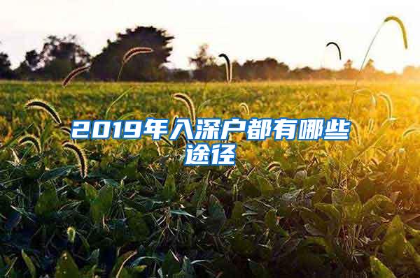 2019年入深户都有哪些途径