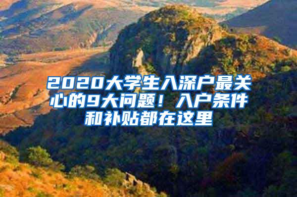 2020大学生入深户最关心的9大问题！入户条件和补贴都在这里