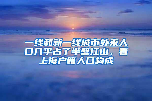 一线和新一线城市外来人口几乎占了半壁江山，看上海户籍人口构成