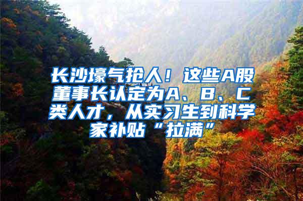 长沙壕气抢人！这些A股董事长认定为A、B、C类人才，从实习生到科学家补贴“拉满”