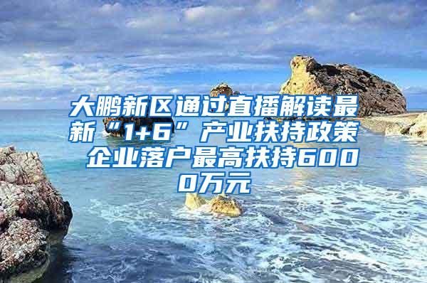 大鹏新区通过直播解读最新“1+6”产业扶持政策 企业落户最高扶持6000万元