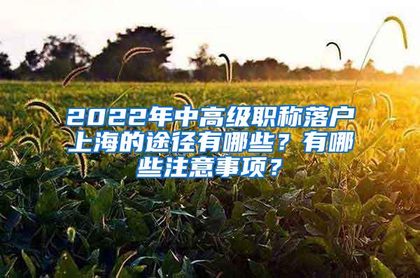 2022年中高级职称落户上海的途径有哪些？有哪些注意事项？