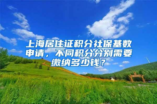 上海居住证积分社保基数申请，不同积分分别需要缴纳多少钱？