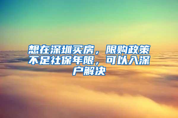 想在深圳买房，限购政策不足社保年限，可以入深户解决