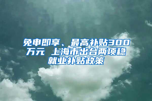 免申即享、最高补贴300万元 上海市出台两项稳就业补贴政策