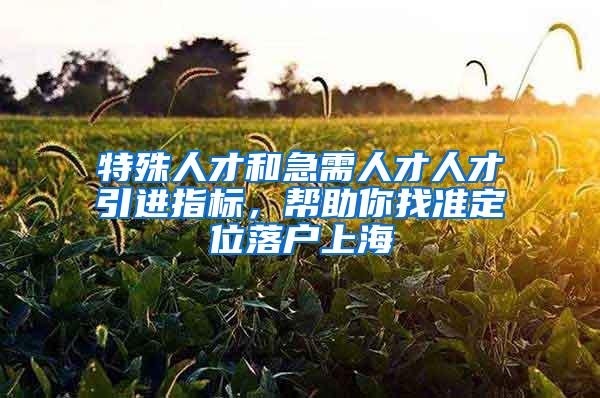 特殊人才和急需人才人才引进指标，帮助你找准定位落户上海