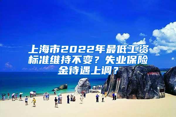 上海市2022年最低工资标准维持不变？失业保险金待遇上调？