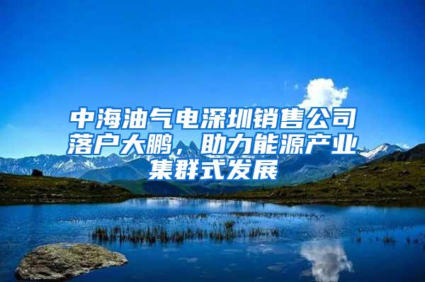 中海油气电深圳销售公司落户大鹏，助力能源产业集群式发展