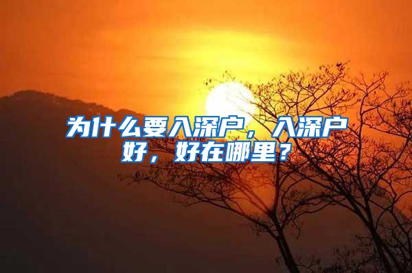 为什么要入深户，入深户好，好在哪里？