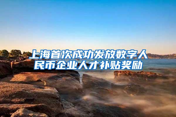 上海首次成功发放数字人民币企业人才补贴奖励