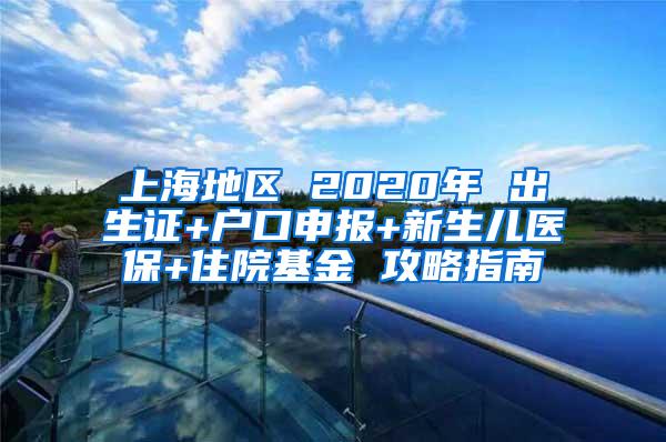 上海地区 2020年 出生证+户口申报+新生儿医保+住院基金 攻略指南