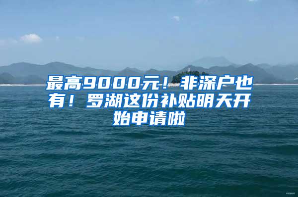 最高9000元！非深户也有！罗湖这份补贴明天开始申请啦