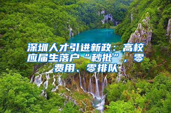 深圳人才引进新政：高校应届生落户“秒批”, 零费用、零排队