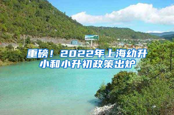 重磅！2022年上海幼升小和小升初政策出炉