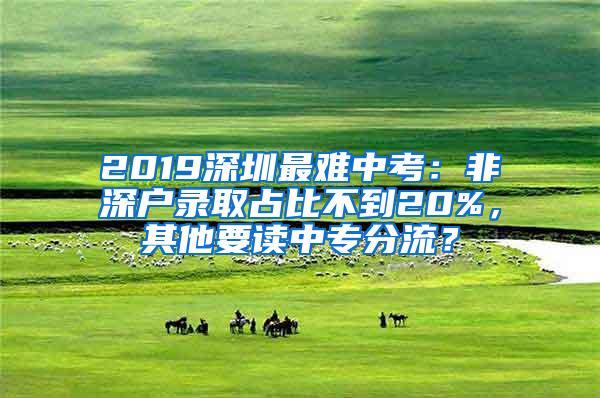 2019深圳最难中考：非深户录取占比不到20%，其他要读中专分流？