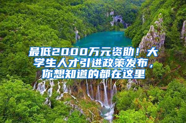 最低2000万元资助！大学生人才引进政策发布，你想知道的都在这里