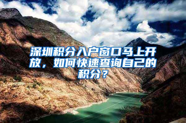 深圳积分入户窗口马上开放，如何快速查询自己的积分？