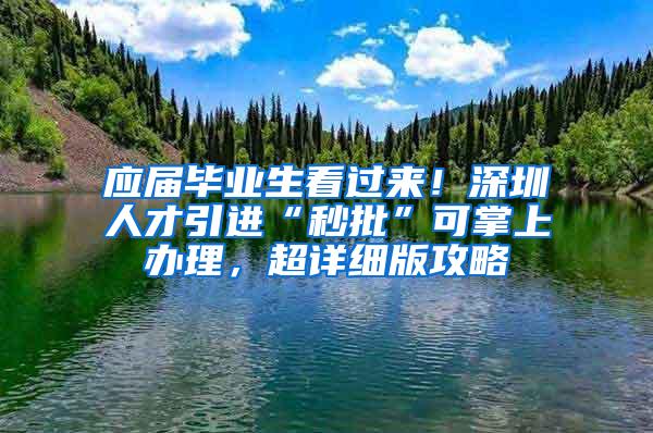 应届毕业生看过来！深圳人才引进“秒批”可掌上办理，超详细版攻略