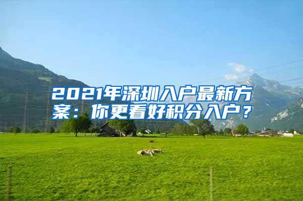 2021年深圳入户最新方案：你更看好积分入户？