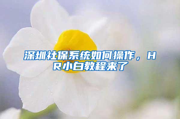 深圳社保系统如何操作，HR小白教程来了