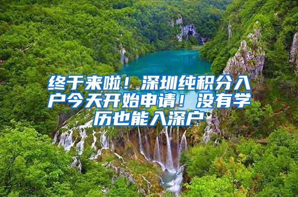 终于来啦！深圳纯积分入户今天开始申请！没有学历也能入深户