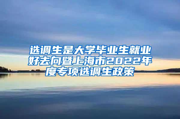 选调生是大学毕业生就业好去向暨上海市2022年度专项选调生政策