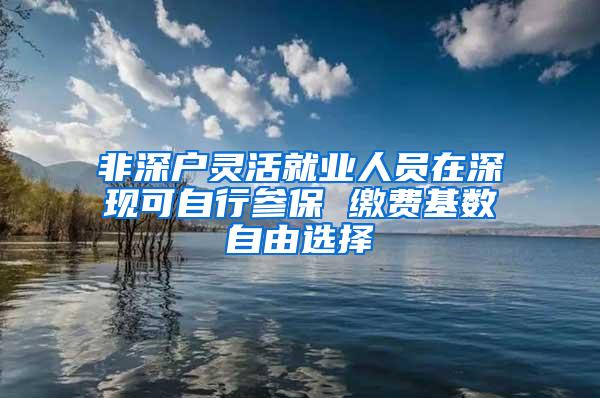 非深户灵活就业人员在深现可自行参保 缴费基数自由选择