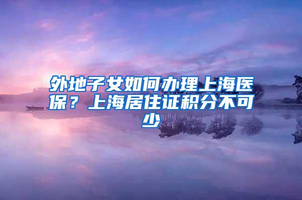 外地子女如何办理上海医保？上海居住证积分不可少