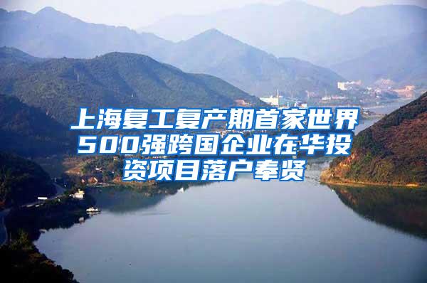 上海复工复产期首家世界500强跨国企业在华投资项目落户奉贤