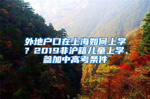 外地户口在上海如何上学？2019非沪籍儿童上学、参加中高考条件