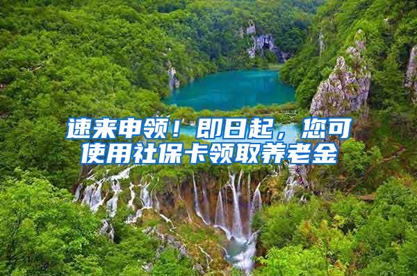 速来申领！即日起，您可使用社保卡领取养老金