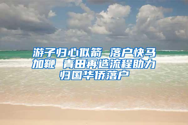 游子归心似箭 落户快马加鞭 青田再造流程助力归国华侨落户