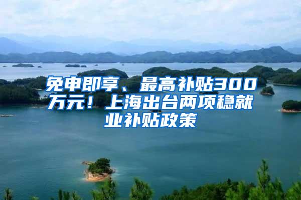 免申即享、最高补贴300万元！上海出台两项稳就业补贴政策