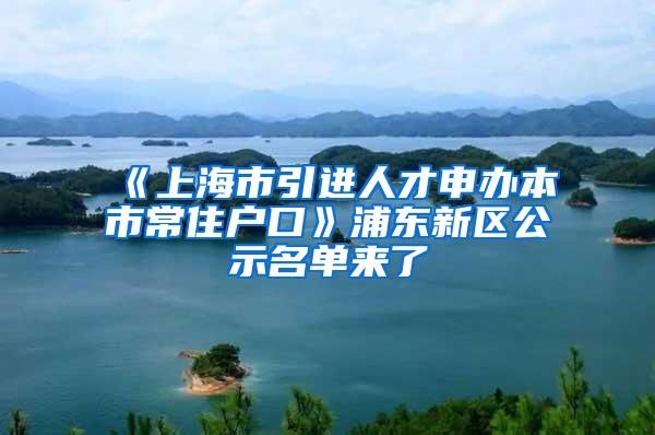 《上海市引进人才申办本市常住户口》浦东新区公示名单来了