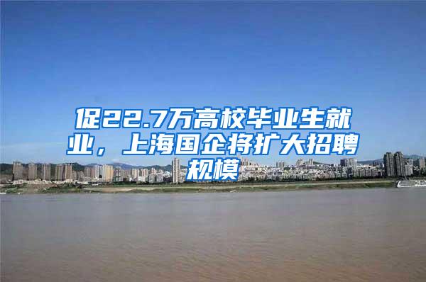 促22.7万高校毕业生就业，上海国企将扩大招聘规模