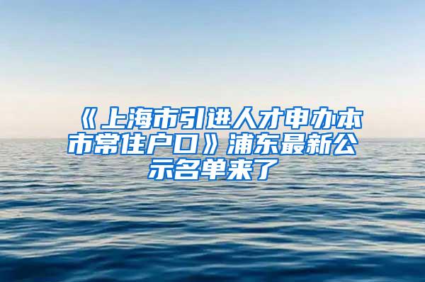 《上海市引进人才申办本市常住户口》浦东最新公示名单来了