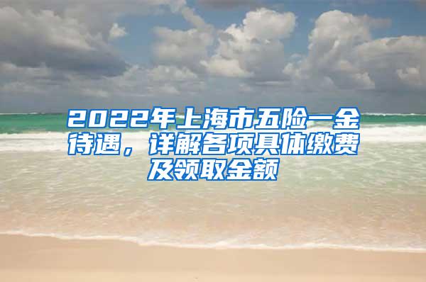 2022年上海市五险一金待遇，详解各项具体缴费及领取金额