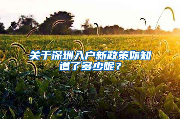 关于深圳入户新政策你知道了多少呢？