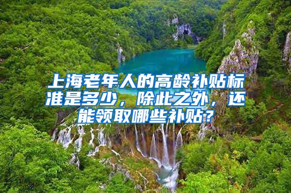 上海老年人的高龄补贴标准是多少，除此之外，还能领取哪些补贴？