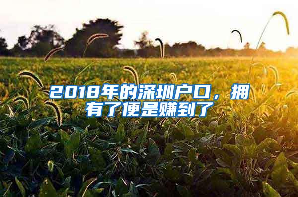 2018年的深圳户口，拥有了便是赚到了