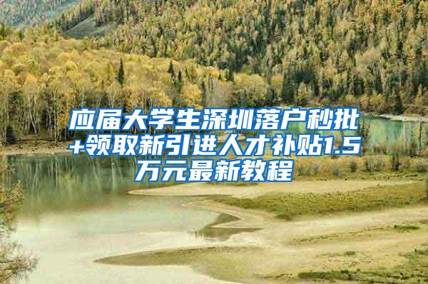 应届大学生深圳落户秒批+领取新引进人才补贴1.5万元最新教程