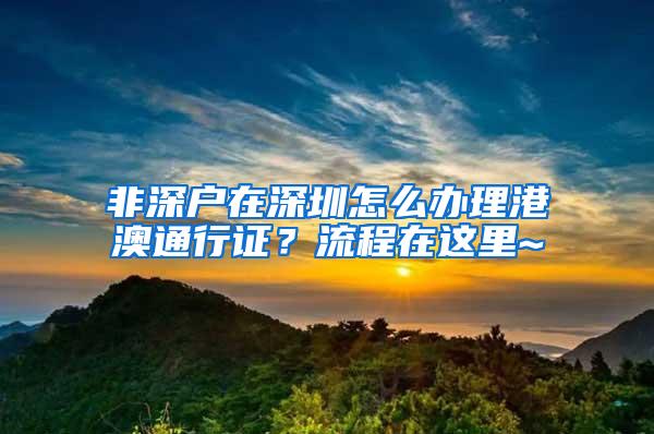 非深户在深圳怎么办理港澳通行证？流程在这里~